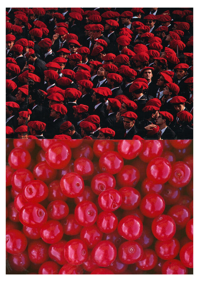 Beret Berries